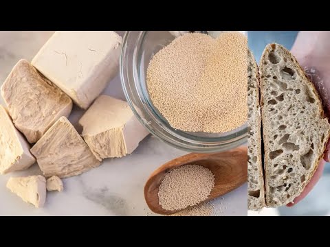 Homemade instant yeast & Delayed yeast recipe/Homemade yeast recipe/How to prepare yeast at home