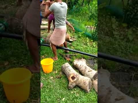 Plastic hdpe flow irrigation system