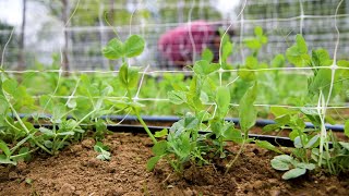 I Am the Soil - Rodale Institute