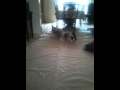 Frank And Ollie Punch Up