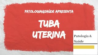 Histologia do Sistema Reprodutor Feminino: Tubas Uterinas