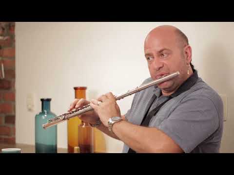 Andorinha | Derico e Nelson Faria