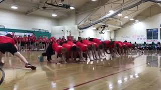 faze tari sar coarda