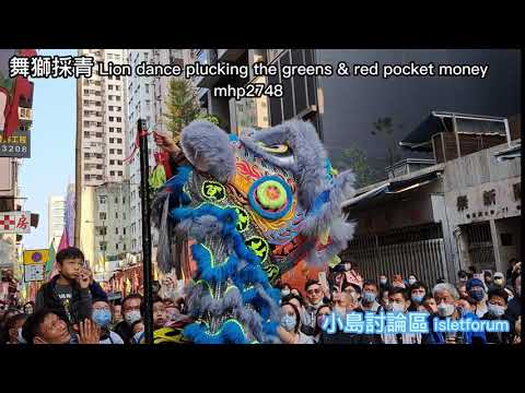 鴨脷洲洪聖傳統文化節 2023 舞獅採青 Apleichau Hung Shing Culture Festival Lion plucking the greens mhp2748 feb2023