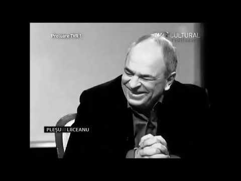 Curiozitate: părerea lui Andrei Pleşu despre subingineri coincide cu părerea subinginerilor despre Andrei Pleşu.