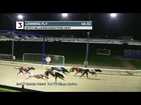 2021 MITCH MILLWARD MARATHON - HEAT 2 - T3 LEMMING FLY