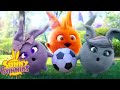 SUNNY BUNNIES - Magic and Football | Season 5 | Cartoons for Children