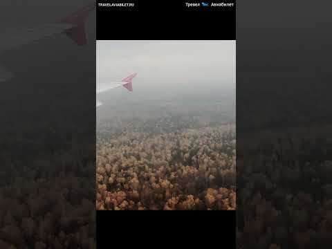 #shorts Турбулентность во время посадки в Домодедово