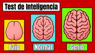 Solo el 9% Puede Aprobar Este Test de Inteligencia – ¿Podrás Tú?
