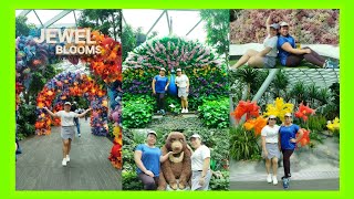 JEWEL BLOSSOMS AT CANOPY PARK SINGAPORE #Jewelairport #singapore #jewel #changiairport