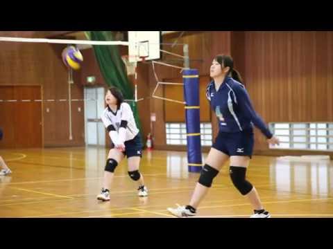 発達支援教育学科 植草学園大学 バレーボールサークル 2016