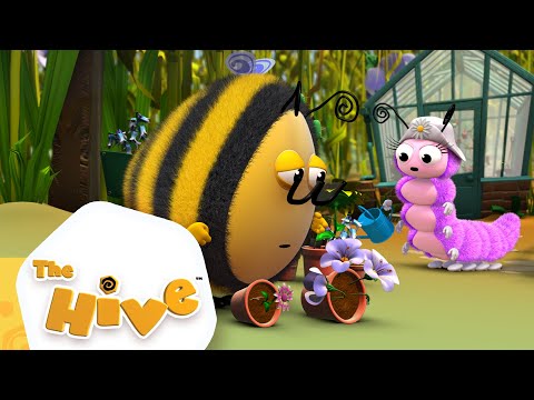See for Yourself | The Hive Full Episodes | The Hive...
