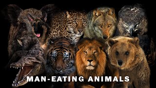 Download lagu THE DARK HISTORY OF MAN-EATING ANIMALS mp3 Download lagu THE DARK HISTORY OF MAN-EATING ANIMALS mp3