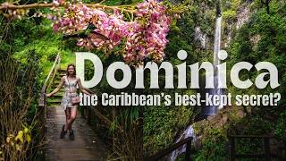 The Most Beautiful Country You’ve NEVER Heard Of... (Dominica)