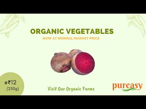 Pureasy Organic Farms
