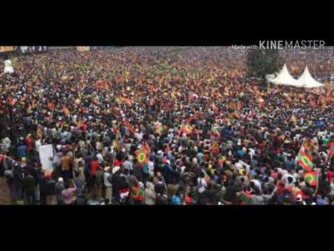 Abshir ni bilisoomnaa- Hangaatu fi Kumalaa