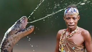 Hadzabe hunter -gatherer confront the most feared Snake in Africa - BLACK MAMBA