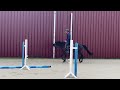 Magnifique, Jument, 8 ans, +-1m64, bwp