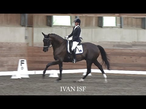 Ivan ISF, Highlights of his first show! September 2019 - SOLD
