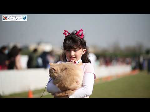 3rd Annual Pet show - Beaconhouse Newlands Lahore