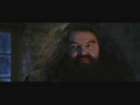 Wizard People, Dear Reader - HAGAR'S GIFTS (Chapter 4)