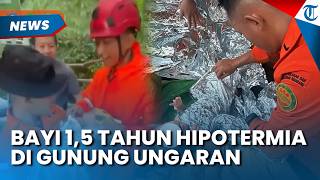 Bayi Hipotermia di Gunung Ungaran Semarang, Ayah Ngotot Mendaki saat Diingatkan