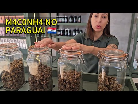 M4C0NH4 LIBERADA NA FRONTEIRA DO BRASIL COM PARAGUAI 🇵🇾 4K