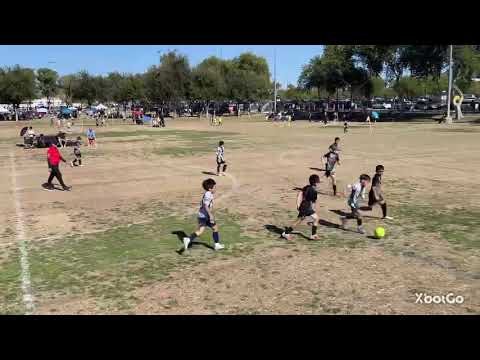 Tuzos halcones vs ccv stars 1-31-26