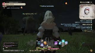 【FF14】ライブ配信☆超絶初心者がサメを求めてプレイ、1日目【女性配信】