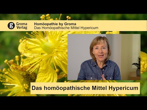 Hypericum - Das Homöopathische Mittel