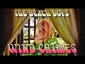 The Beach Boys- Wind Chimes ('The Ears Have It')