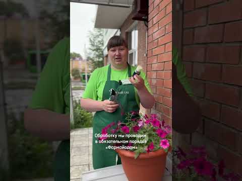 Удачный сад: видео