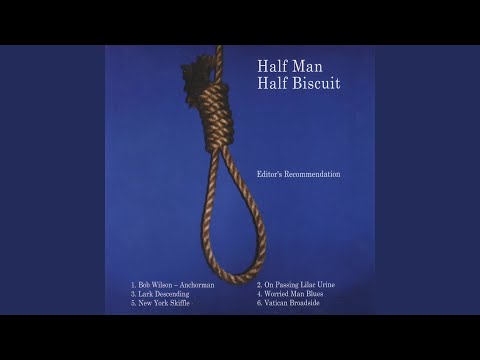 Videoclip de Bob Wilson - Anchorman — Half Man Half Biscuit