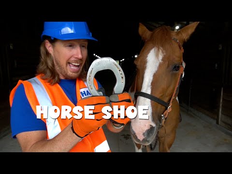 Man in a blue hard hat and orange safety vest holds a metal horseshoe next to a brown horse in a barn, with the overlay text 'HORSE SHOE' on the image.