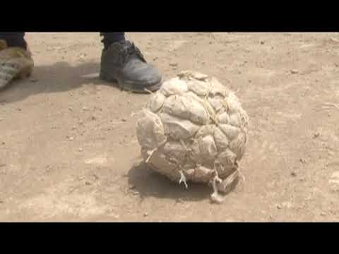 Let's Keep Food on 560 Needy Children's Plates