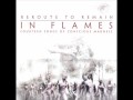 In Flames -  Egonomic