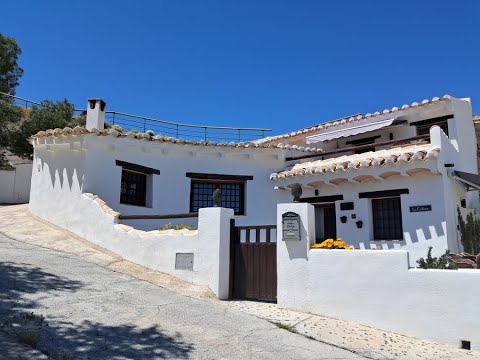 video image