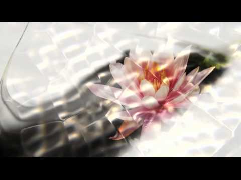 TEMPORARY HERO FEAT. JASON WALKER "WILDJOY" (DJ STROBE RADIO MIX)