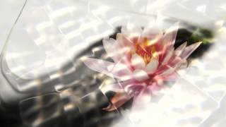 TEMPORARY HERO FEAT. JASON WALKER "WILDJOY" (DJ STROBE RADIO MIX)