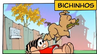 Turma da Mônica - Bichinhos