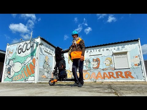 dzień jedenasty krowy na motorach