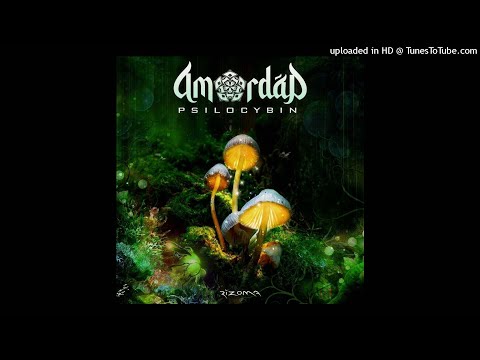 Amordad - Psilocybin (Original Mix)