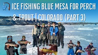 🎣 Ice Fishing Blue Mesa for Perch & Trout | Colorado (Part 3)