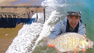 This Pier Got DESTROYED, I Caught One Final Fish before it is DEMOLISHED