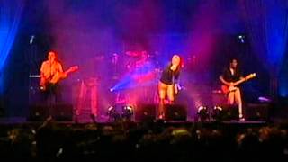 Dik Hout   Dromendief