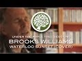 Brooks Williams - 'Waterloo Sunset' (The Kinks cover) | UNDER THE APPLE TREE