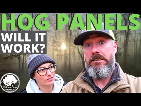 Hog Panels Fleet Farm