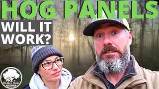Installing Hog Panels for Pastured Pork | Buying at a Livestock Auction