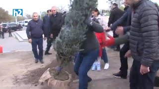 Շորը շորը. Փաշինյանը մոռացել էր ծառի արմատից շորը հեռացնել: Լրաբեր - 5.11.2022