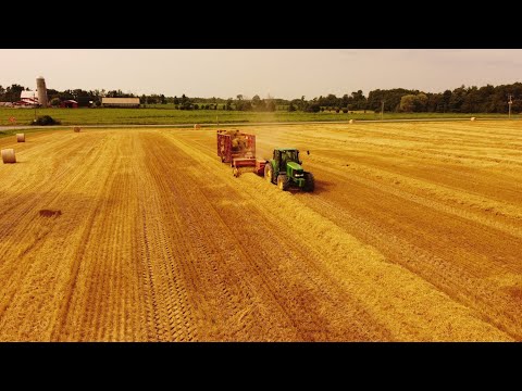 Baling Small Square Straw Bales (Wheat harvest 2024)